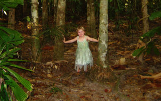 Daintree Rainforest