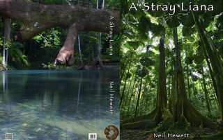 A Stray Liana