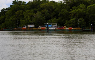 Daintree River Crossing