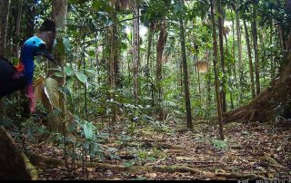 Camera Traps - June 2022