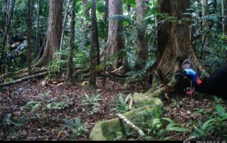 Camera Traps - December 2022