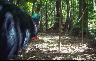 Camera Traps - November 2023