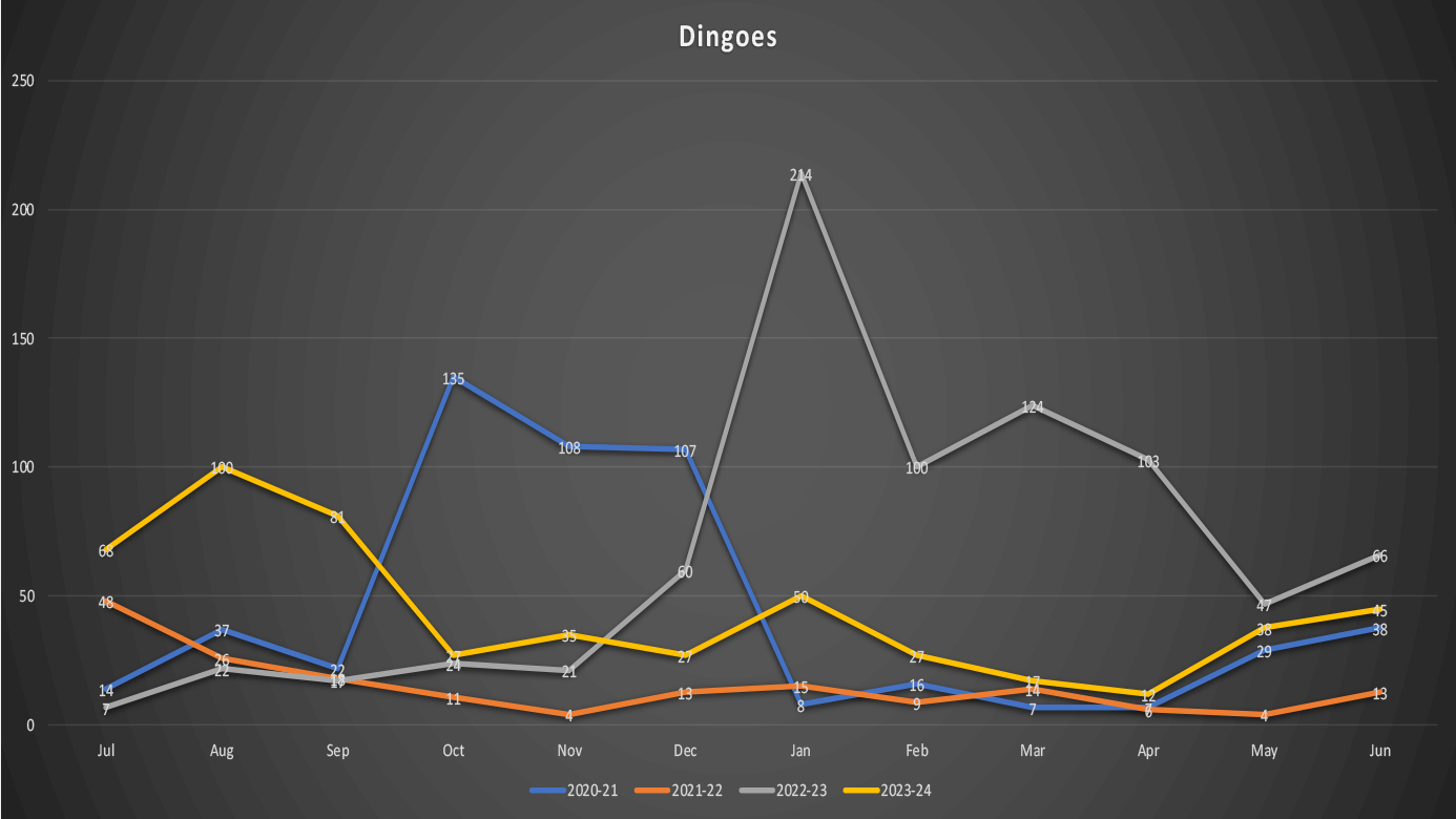 Daintree Rainforest Camera Traps - 2023-24