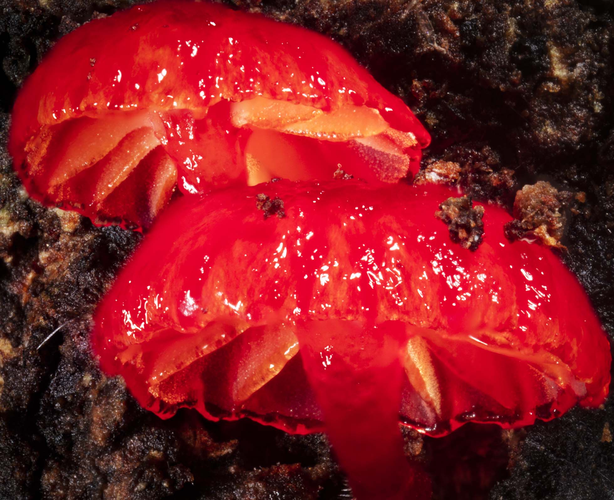 2024-25 Annual Report