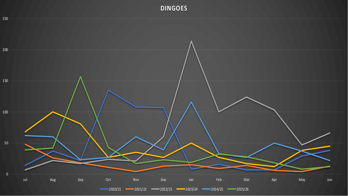 DRFL 2025/26 Annual Report
